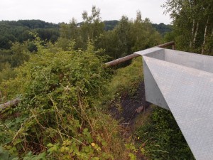 Inszenierung Wildnis