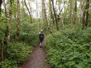 Weg über die alte Kippe