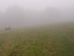 Hoher Nebel