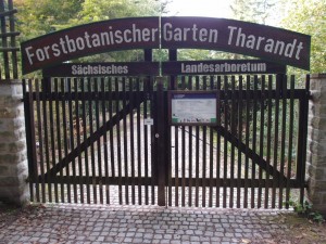 Forstbotanischer Garten Tharandt