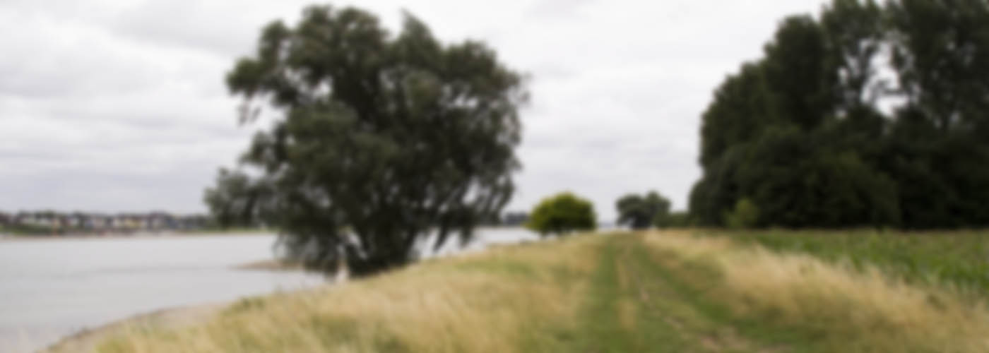 aufbrechen: los, gehen!