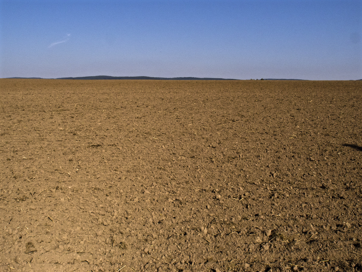 Agrarwüste – bis zum Horizont ausgeräumte Ackerflur