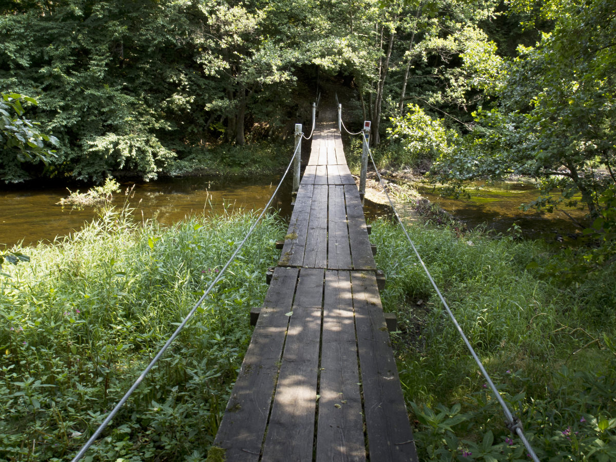Sehr einfache Holubrücke über einen kleinen Fluss in einen Wald.